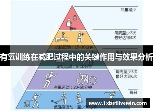 有氧训练在减肥过程中的关键作用与效果分析